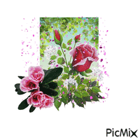 rose animovaný GIF