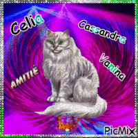 kdo Celia Cassandra Vanina ♥♥♥ GIF animé