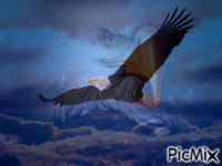 voa nas asas - GIF animado grátis