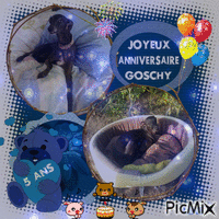 anniversaire Goschy 5 ans Animated GIF