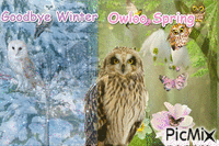 GOODBYE WINTER OWLOO SPRING анимирани ГИФ