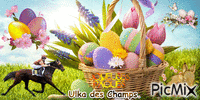 La championne Ulka des Champs. - Δωρεάν κινούμενο GIF