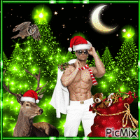 Noël sexy - GIF animado gratis