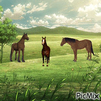 horse GIF animata