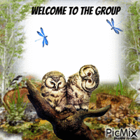 welcome owl animasyonlu GIF