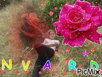 VARD - Darmowy animowany GIF