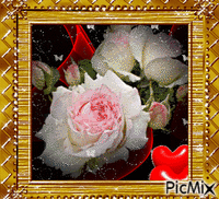 rose animasyonlu GIF