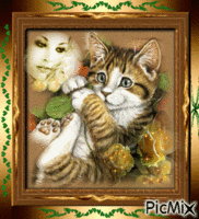 un petit chatons adorable 动画 GIF
