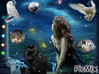 chat noir et chouettes ma création sylvie - GIF เคลื่อนไหวฟรี