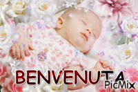 BENVENUTA - Безплатен анимиран GIF