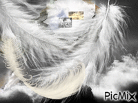 La tête dans les nuages - Darmowy animowany GIF