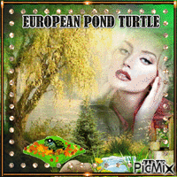 European pond turtle - GIF animado gratis