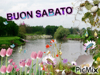 BUON SABATO Animated GIF