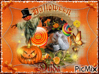 Happy halloween Diida 2 animovaný GIF