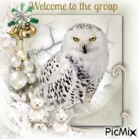 Christmas welcome owl анимированный гифка