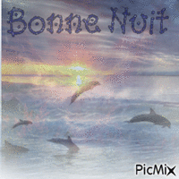 Bonne Nuit - 免费动画 GIF