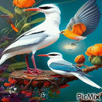 BEAUTIFUL BIRDS animovaný GIF