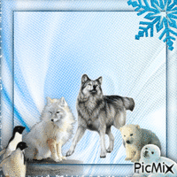 winter animals animovaný GIF