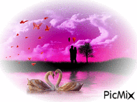 Amour - Besplatni animirani GIF
