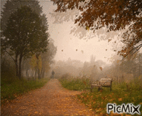 automne - GIF animado grátis