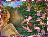Flamingos - 無料のアニメーション GIF