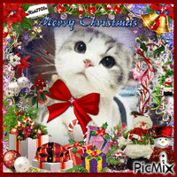 Merry Meoww Christmas    11-29-21  by xRick7701x geanimeerde GIF