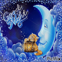 Gute Nacht Mond