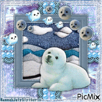 {{{Winter Seal Pup}}} - Darmowy animowany GIF