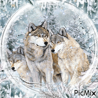 Wolf pack-contest - GIF animé gratuit