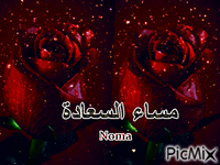 noma - Zdarma animovaný GIF