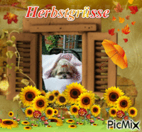 Herbst Animiertes GIF