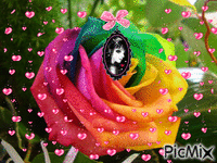 rainbow girls GIF animasi