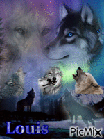 the howl GIF animé