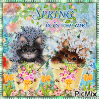 Spring in the air - GIF animé gratuit