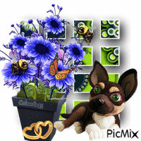 květináč animovaný GIF