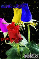 sabah alkheir,good morning,guten morgen - Zdarma animovaný GIF