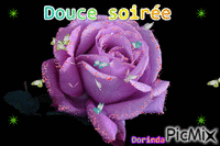 Rose violette. - GIF animate gratis