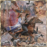 Amour-cheval - Δωρεάν κινούμενο GIF