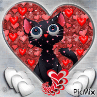 💗 black cat animovaný GIF