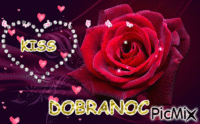 DOBRANOC - Бесплатный анимированный гифка