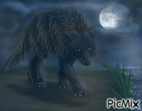 Le Loup Noir. - Gratis animerad GIF