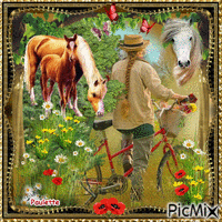 l'amour de chevaux - Free animated GIF