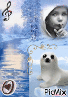 Piccola foca - GIF animado grátis