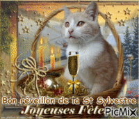 Chat réveillon de la St Sylvestre animovaný GIF