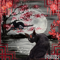 Gato estilo oriental animovaný GIF