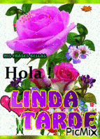 HOLA LINDA TARDE - Бесплатный анимированный гифка