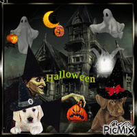 Dogs and Halloween - GIF animé gratuit