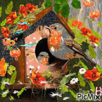 Пенье птиц Animated GIF