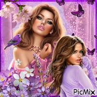 Pink&Purple - gratis png