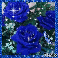 Rosas Azuis